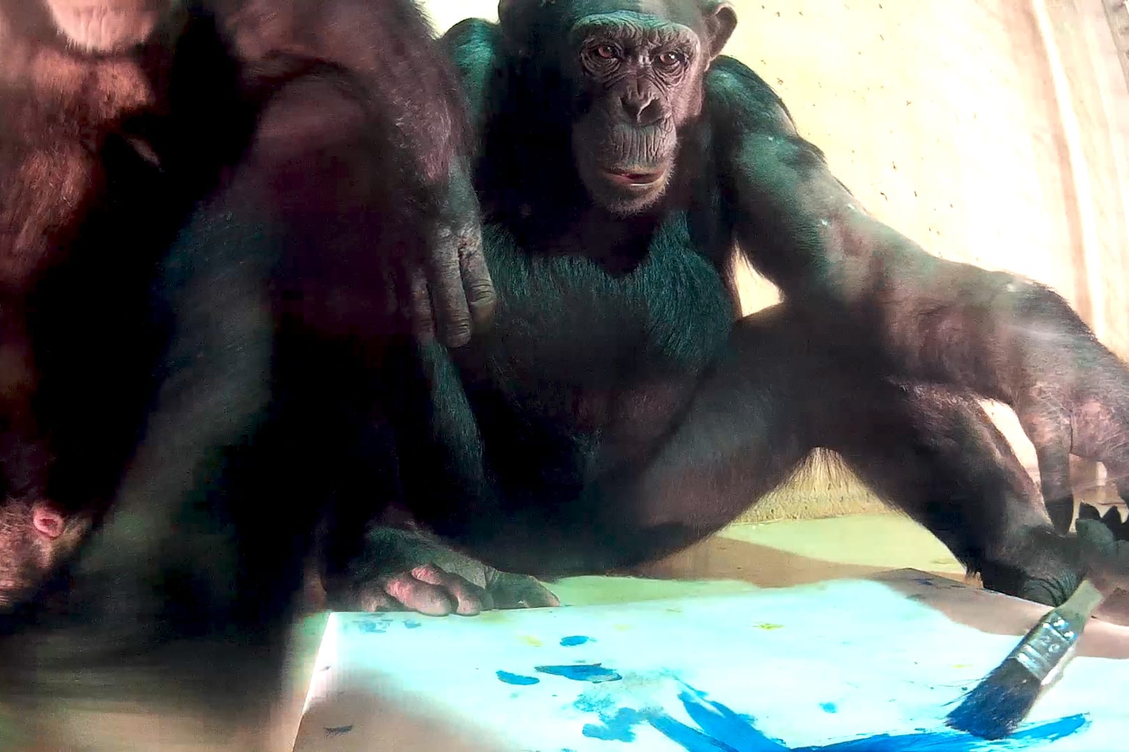 Elisha and Malik from the artistic research project Inherent Crossing by Benjamin Egger